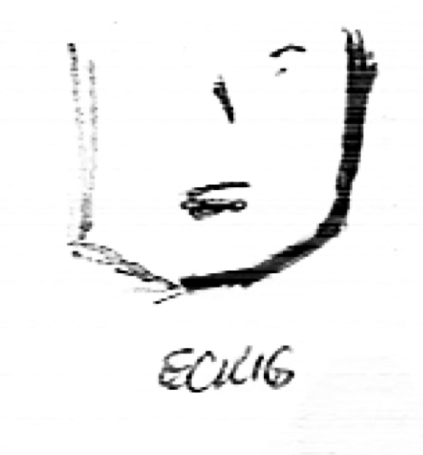 eckiges Gesicht eckiges Gesicht